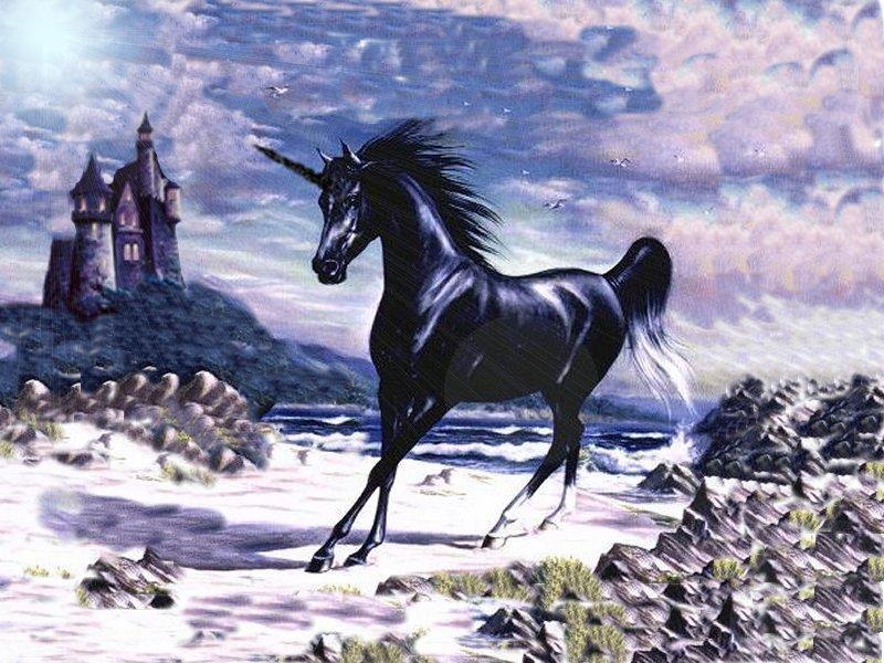 licorne007.jpg