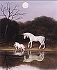 licorne027.jpg